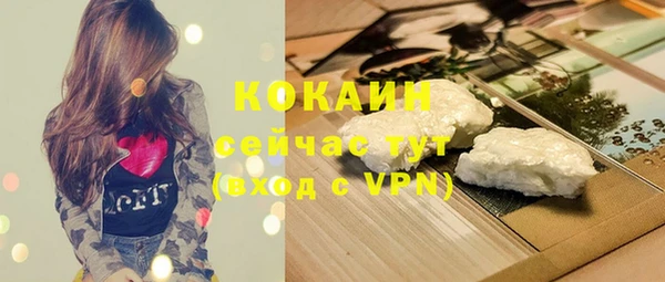 гидропоника Бородино