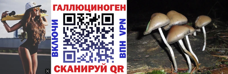 hydra ССЫЛКА  Ирбит  Галлюциногенные грибы прущие грибы 